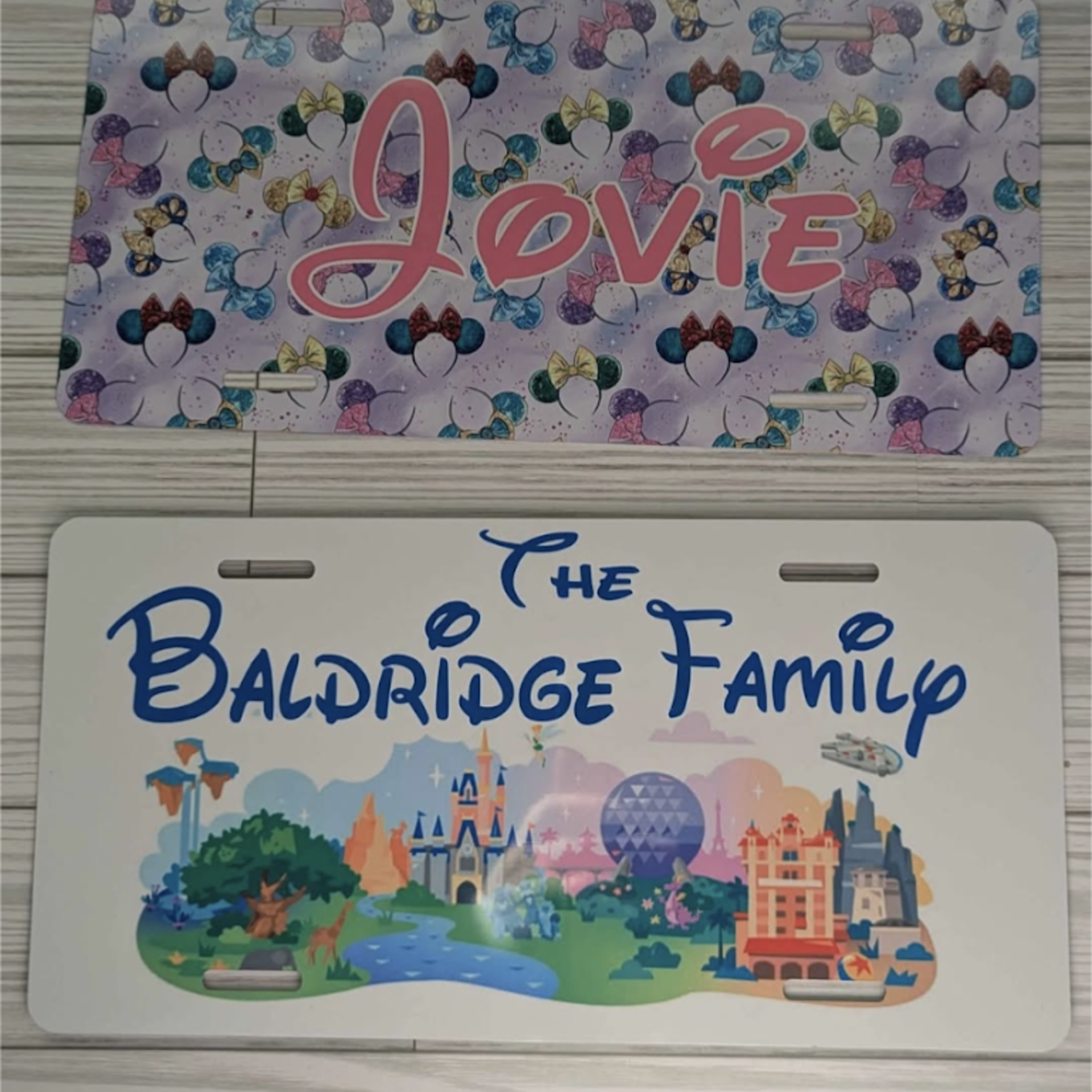 Custom License plate- LARGE